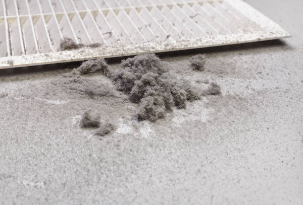 Best Commercial Air Duct Cleaning  in Paw Paw, MI
