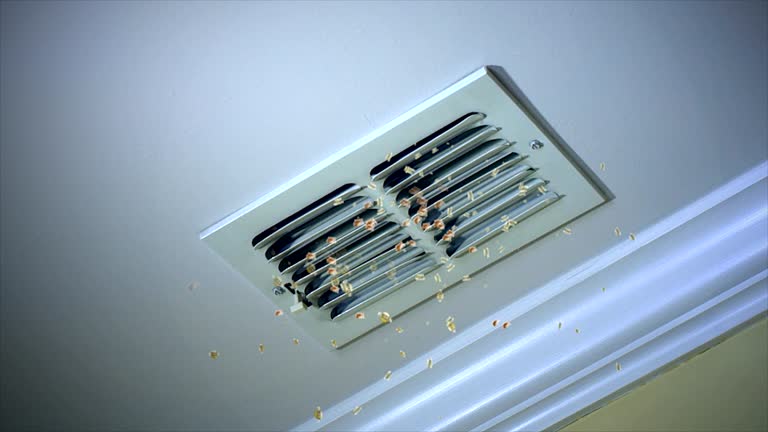 Best HVAC System Cleaning  in Paw Paw, MI