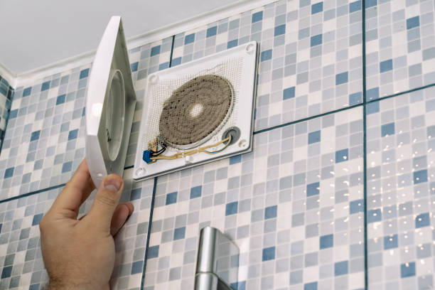 Best Ductwork Cleaning Services  in Paw Paw, MI
