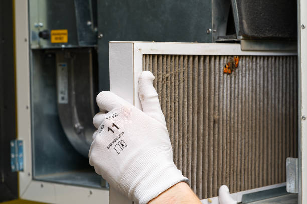 Best Residential Air Duct Cleaning  in Paw Paw, MI