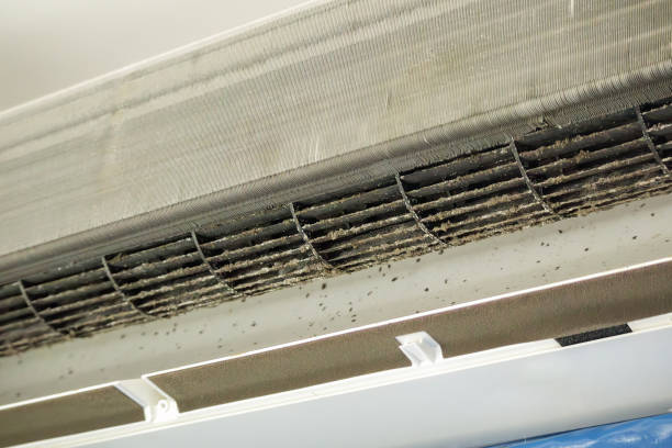 Ductwork Cleaning Services in Paw Paw, MI