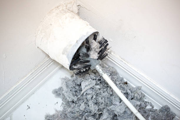 Best Emergency Air Duct Cleaning  in Paw Paw, MI